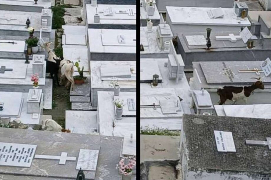 Βιάννος νεκροταφείο