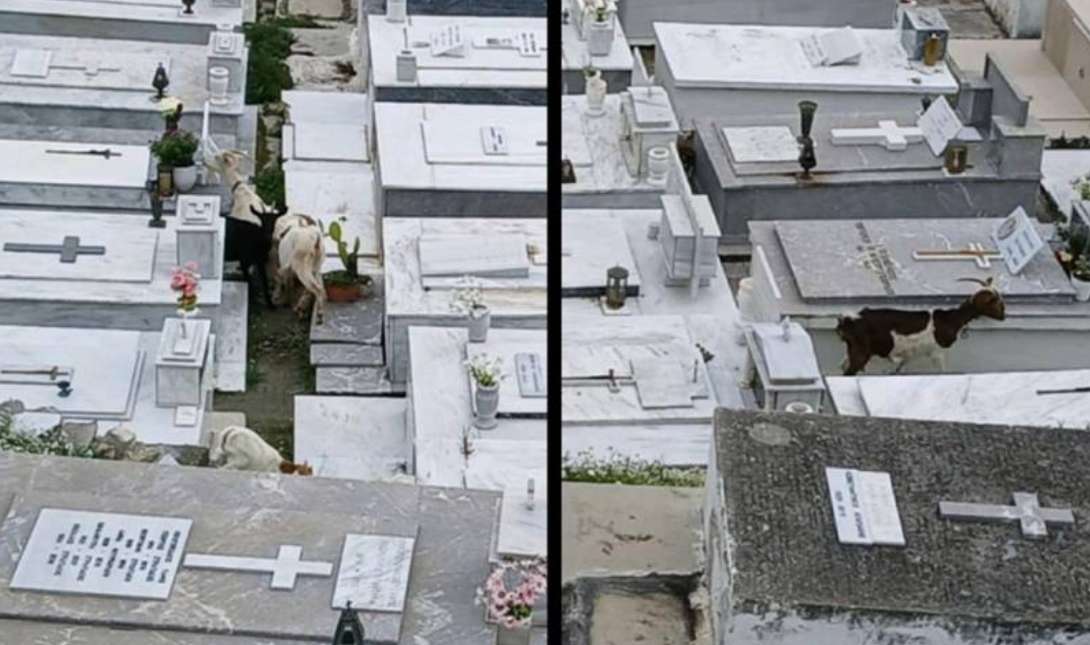 Βιάννος νεκροταφείο