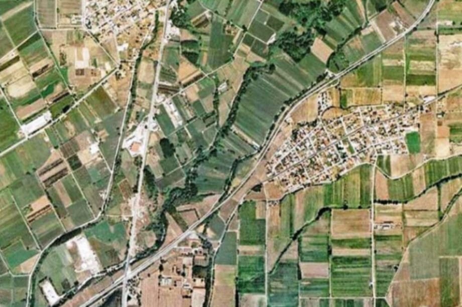 δασικοί χάρρτες