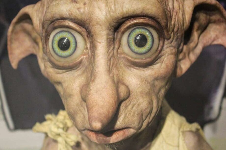 μάσκα του Dobby