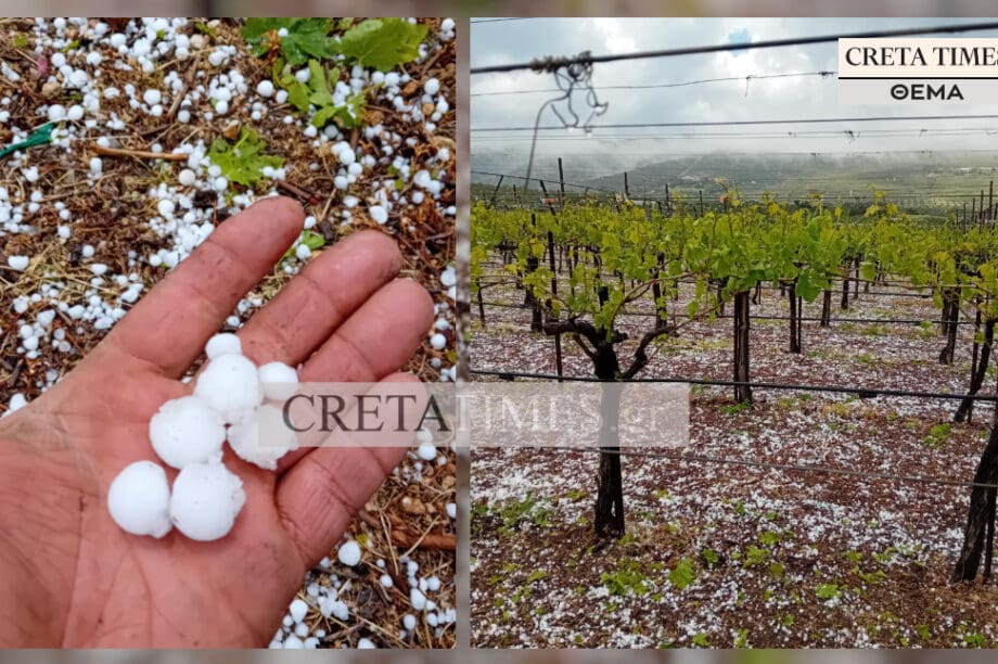 ΧΑΛΑΖΙ ΑΛΑΓΝΙ ΑΡΧΑΝΕΣ