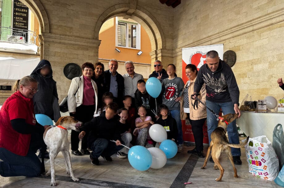 Παγκόσμια Ημέρα Αδέσποτων Ζώων δρτάσεις