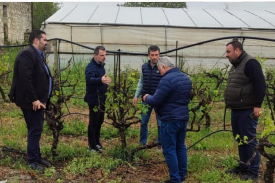 ζημιές χαλάζι αυτοψία