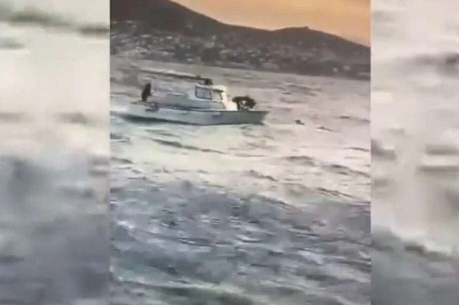 Αρτέμιδα διάσωση Λιμενικό