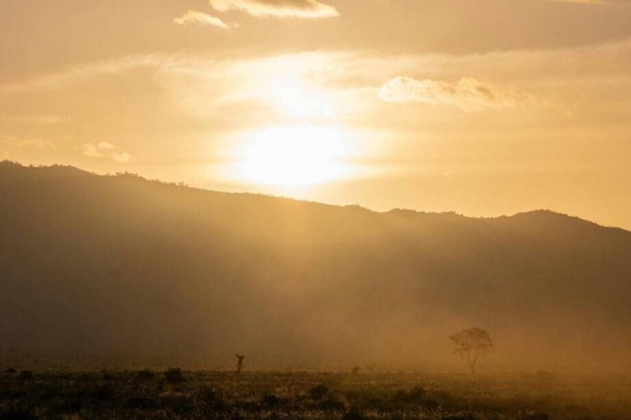 σκονη καιρος