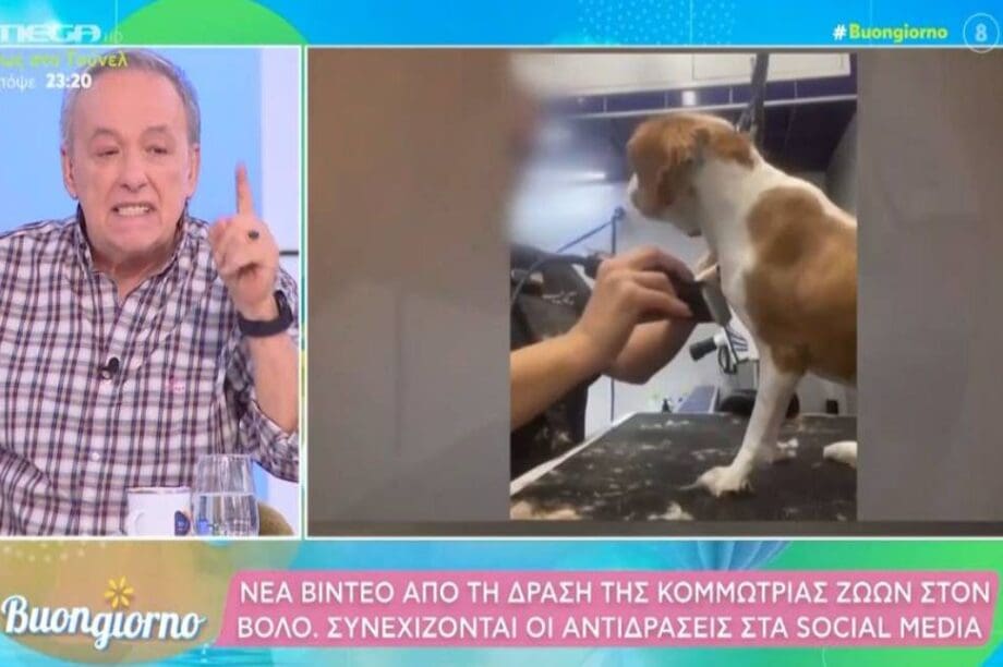 Μικρούτσικος