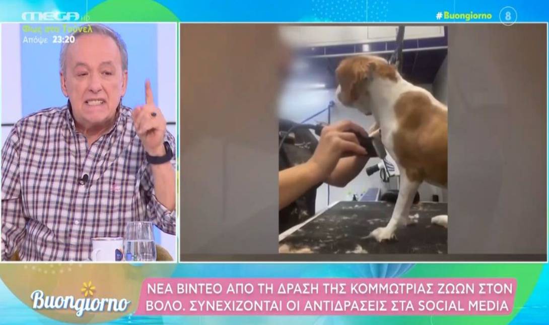 Μικρούτσικος