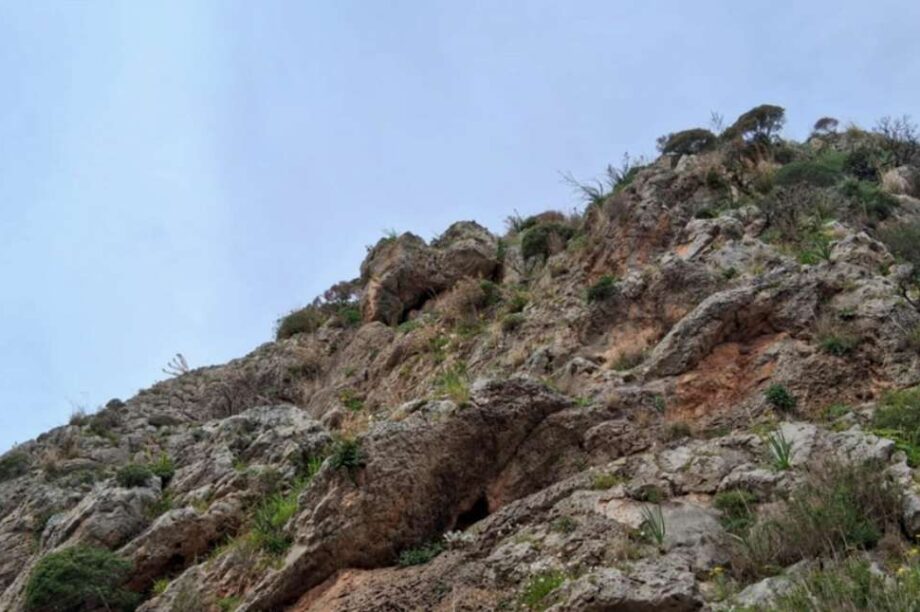 Νάξος νεκρός