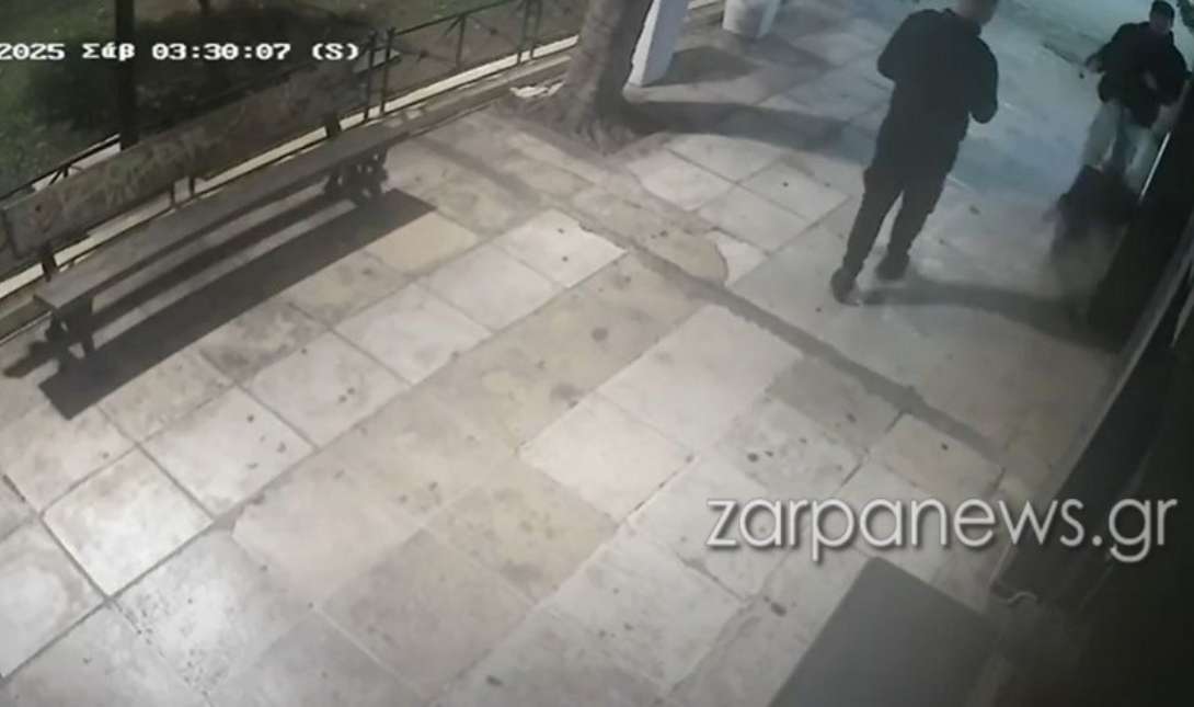 Χανιά νεαροί