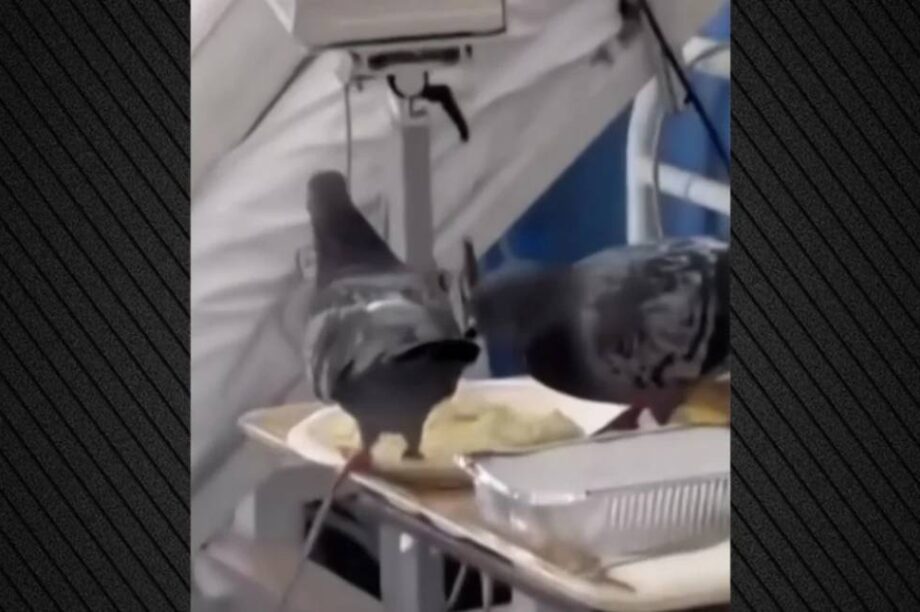 νοσοκομείο