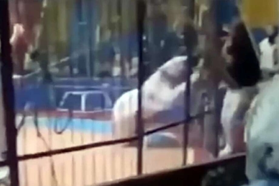 Σοκαριστικό βίντεο