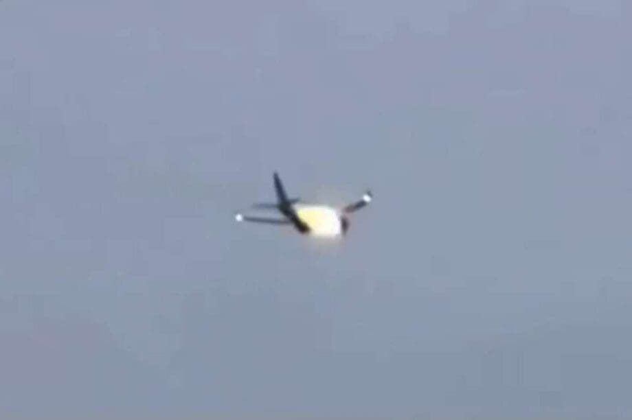 αεροπλάνο κουνέλι