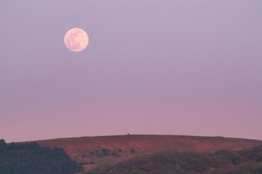 ΡΟΖ ΠΑΝΣΕΛΗΝΟΣ ΦΕΓΓΑΡΙ ζώδια