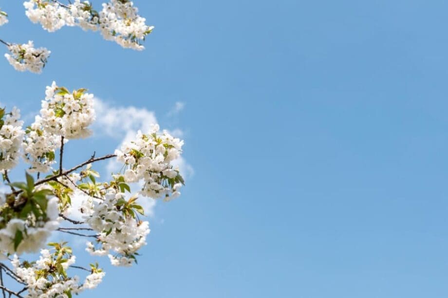 Άνοιξη καιρός