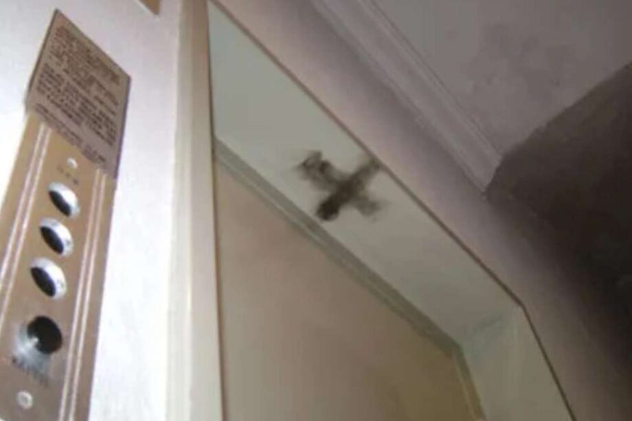 σταυρός πόρτα