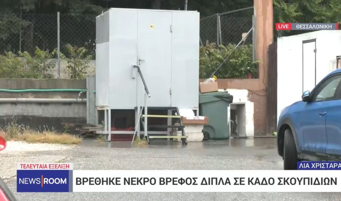 Μωρό νεκρό καντίνα