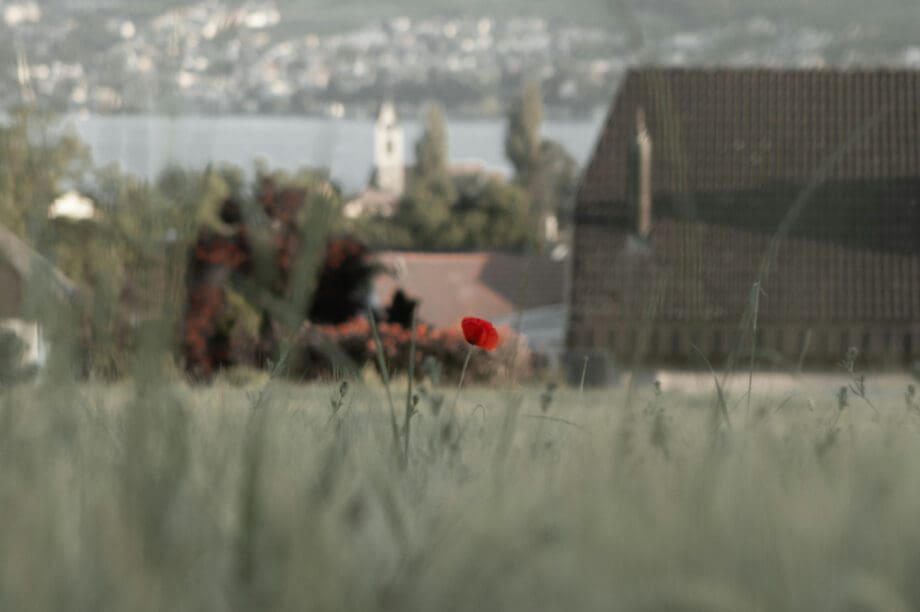 Αλεξανδρούπολη: Θρίλερ κατασκοπίας