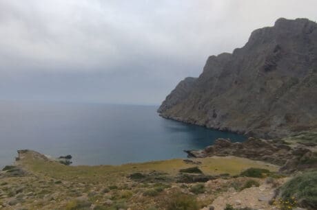 Νικολάου