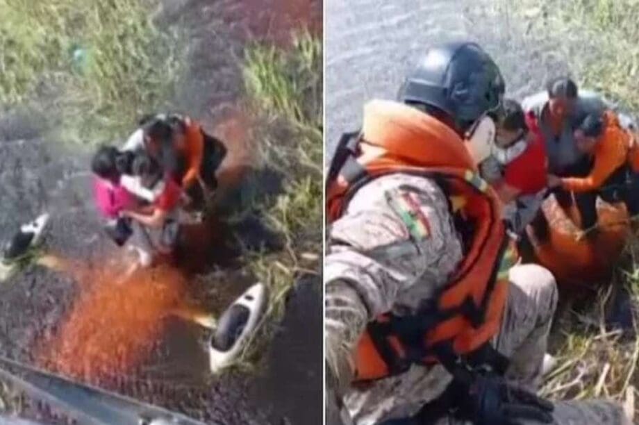 αεροπλάνο αλιγάτορες