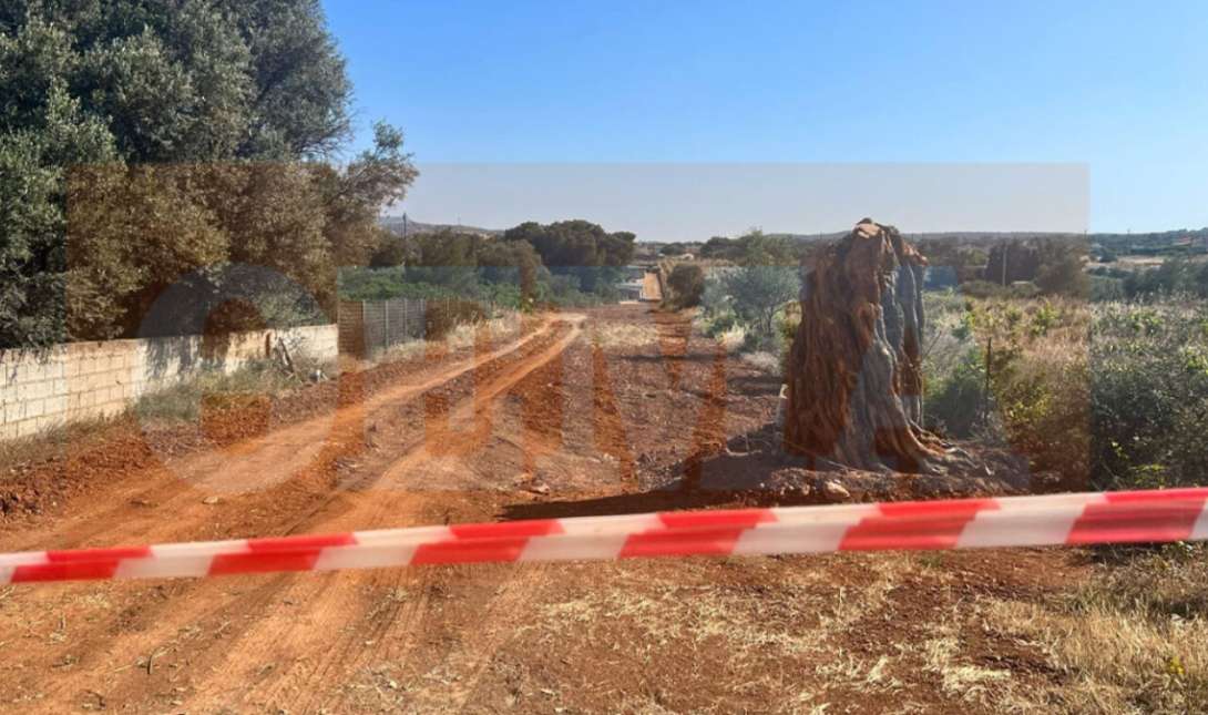 δολοφονία Ραφήνα