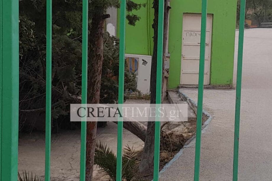 πτώση δέντρου