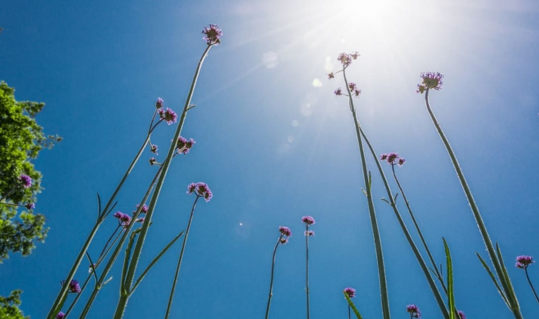 ΕΜΥ ΑΝΟΙΞΗ ΚΑΙΡΟΣ ΚΑΛΟΚΑΙΡΙΑ