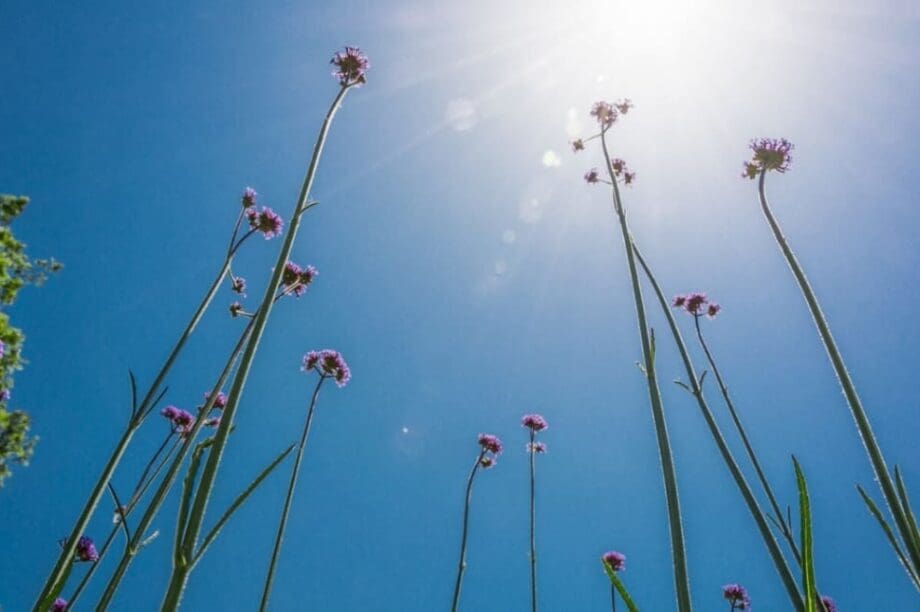 ΕΜΥ ΑΝΟΙΞΗ ΚΑΙΡΟΣ ΚΑΛΟΚΑΙΡΙΑ