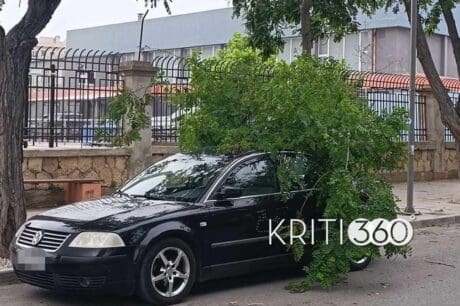 αυτοκίνητο κλαδί