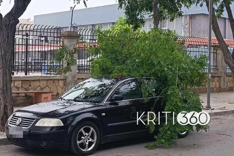αυτοκίνητο κλαδί