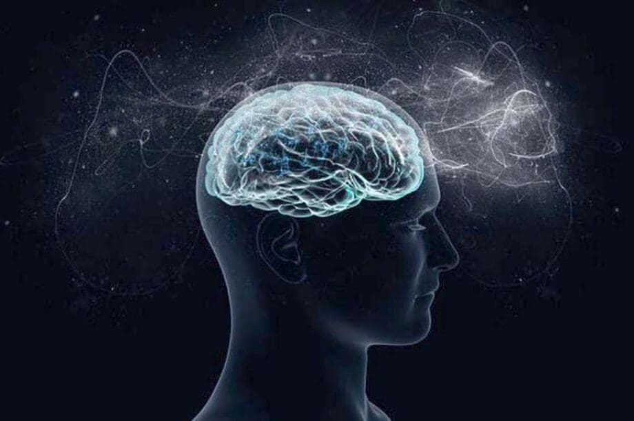 νευροεπιστήμη