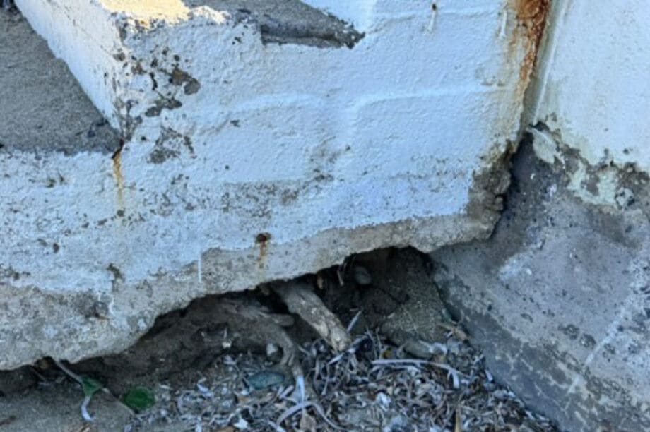 παραλία Λυγαριά