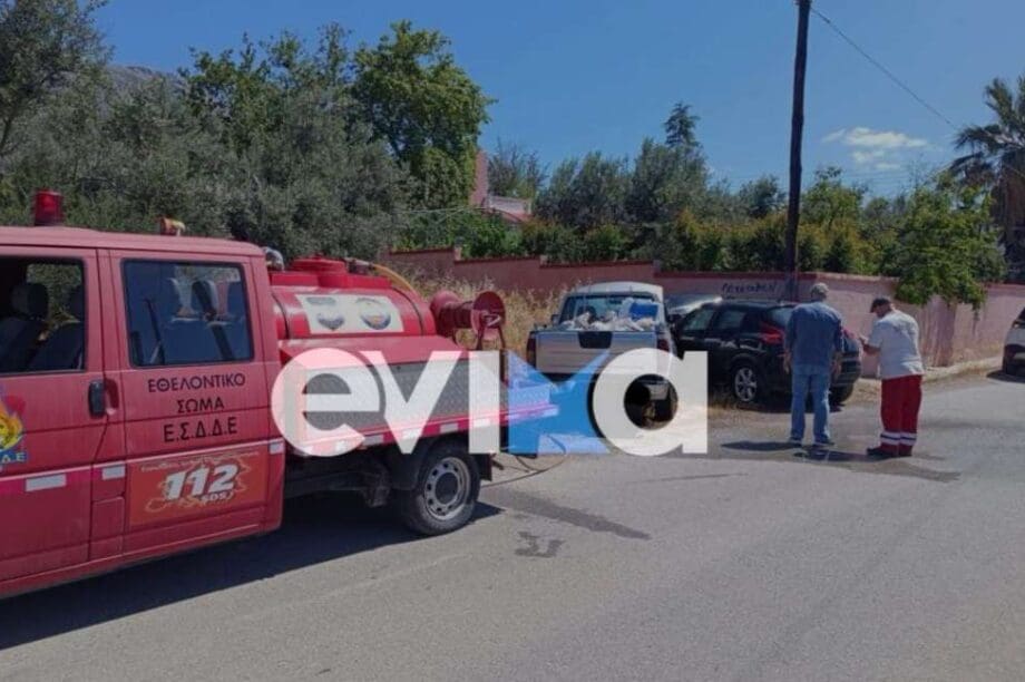 τροχαίο Εύβοια