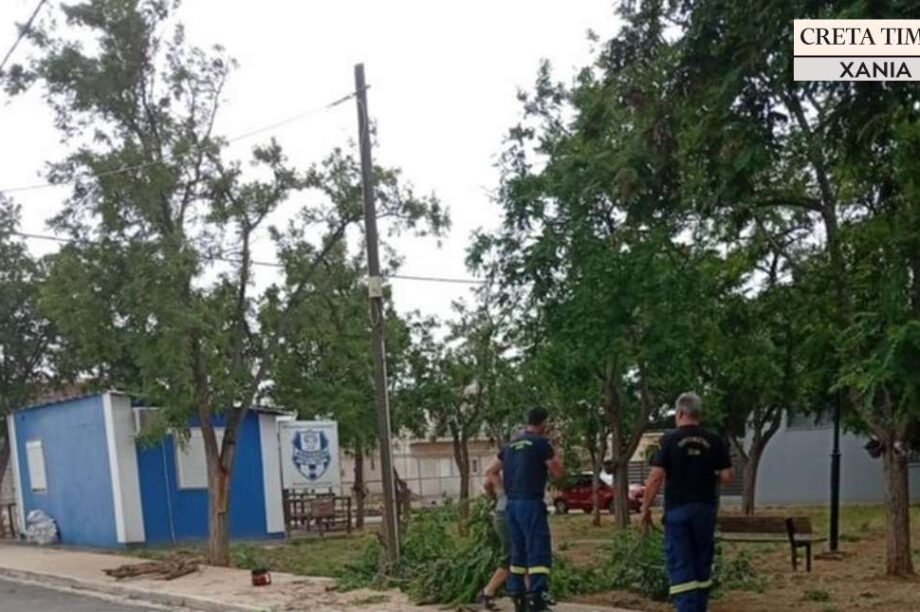 Χανιά πτώση δέντρων πυροσβεστική