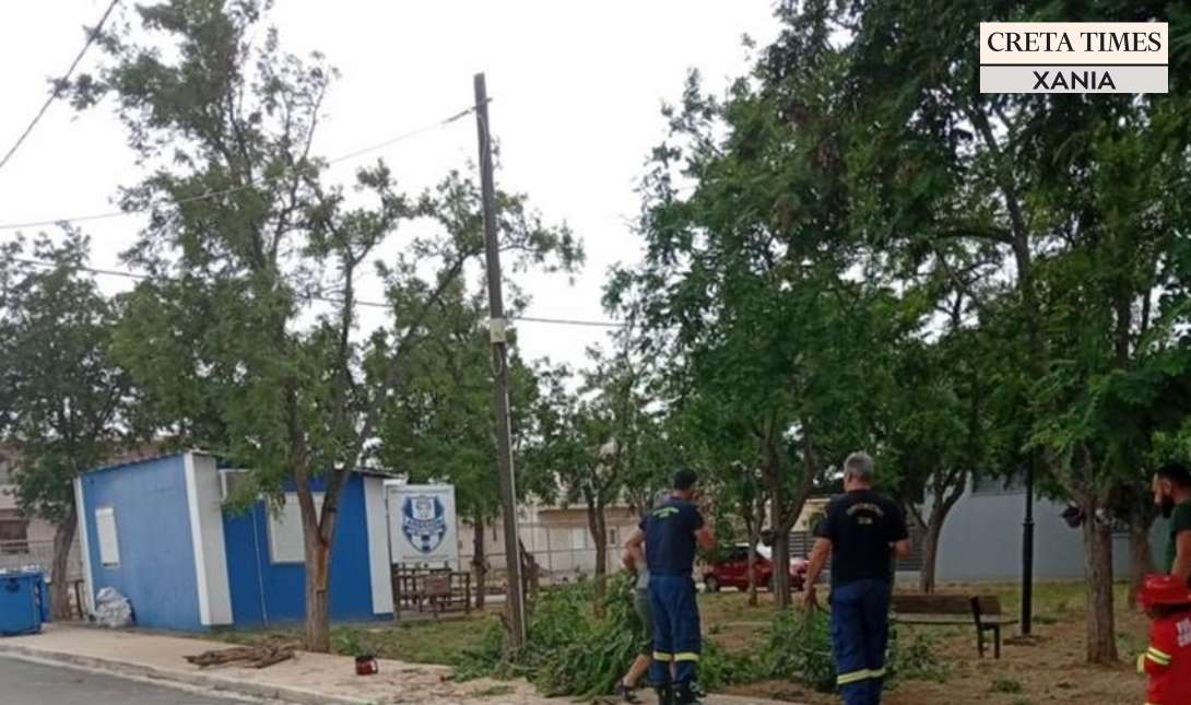 Χανιά πτώση δέντρων πυροσβεστική
