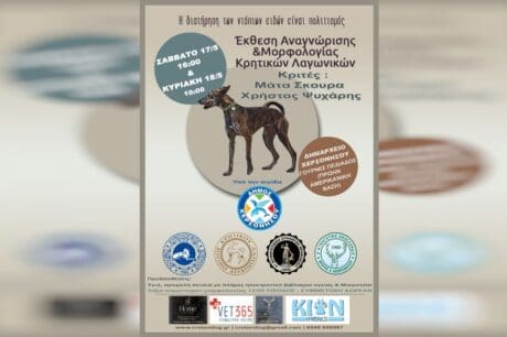 κρητικών λαγωνικών