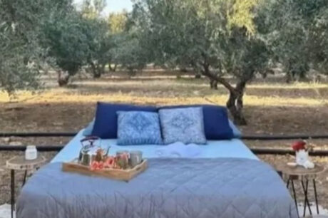 Aribnb Ελιές Μοίρες