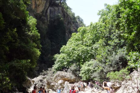 Δήμος Χανίων: Διοργανώνεται πεζοπορία στο Φαράγγι Δικτάμου