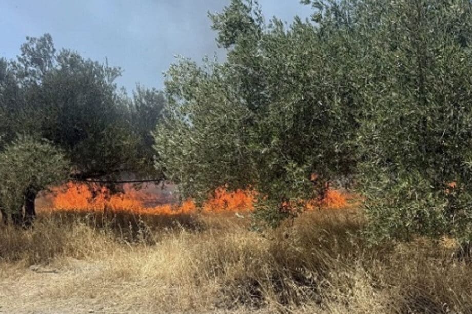 Φωτιά Μεσαρά