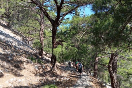 Oρειβατικός Σύλλογος Αγίου Νικολάου