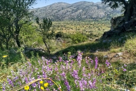 Ορειβατικός Σύλλογος Αγίου Νικολάου Οροπέδιο Καθαρού