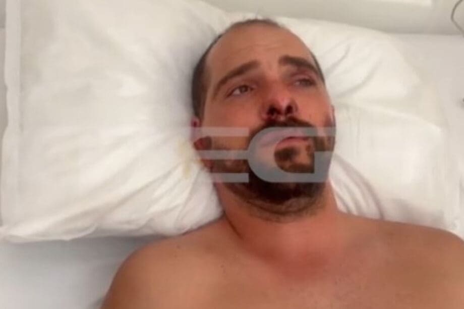 Διανομέας