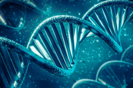 DNA