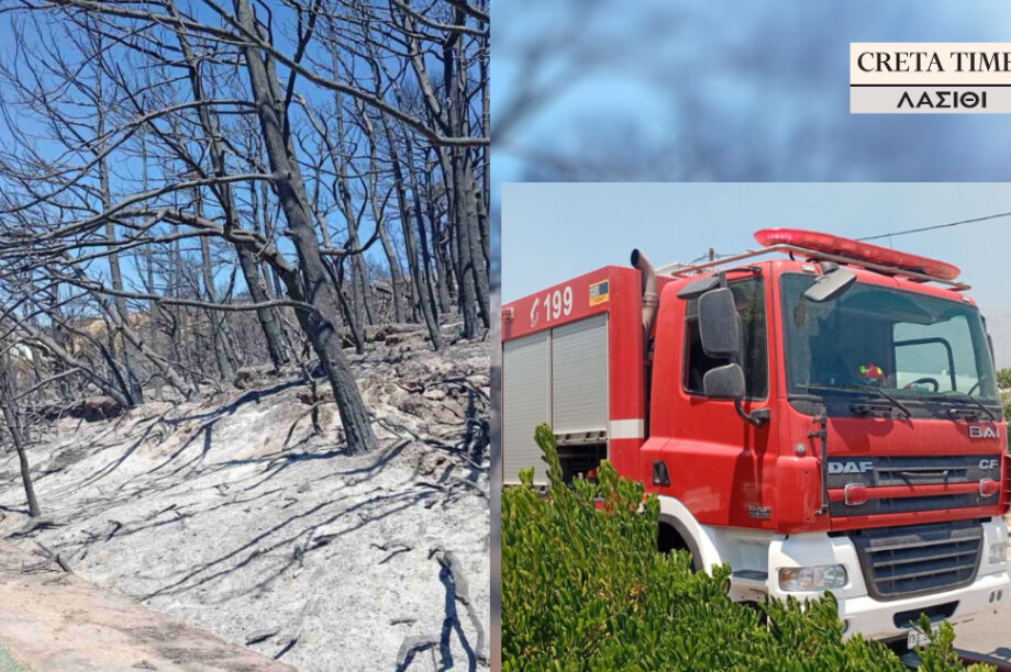 φωτιά Ιεράπετρα