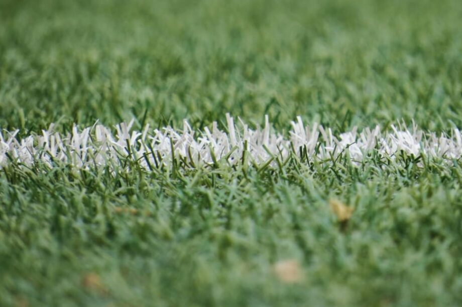 γηπεδο χορταρι