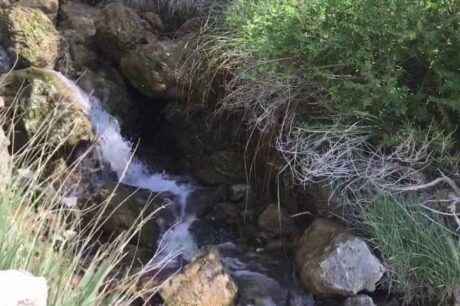 καταρράκτης Λίγκρες