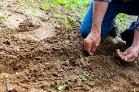 ΟΠΕΚΕΠΕ αγρότες χωράφι