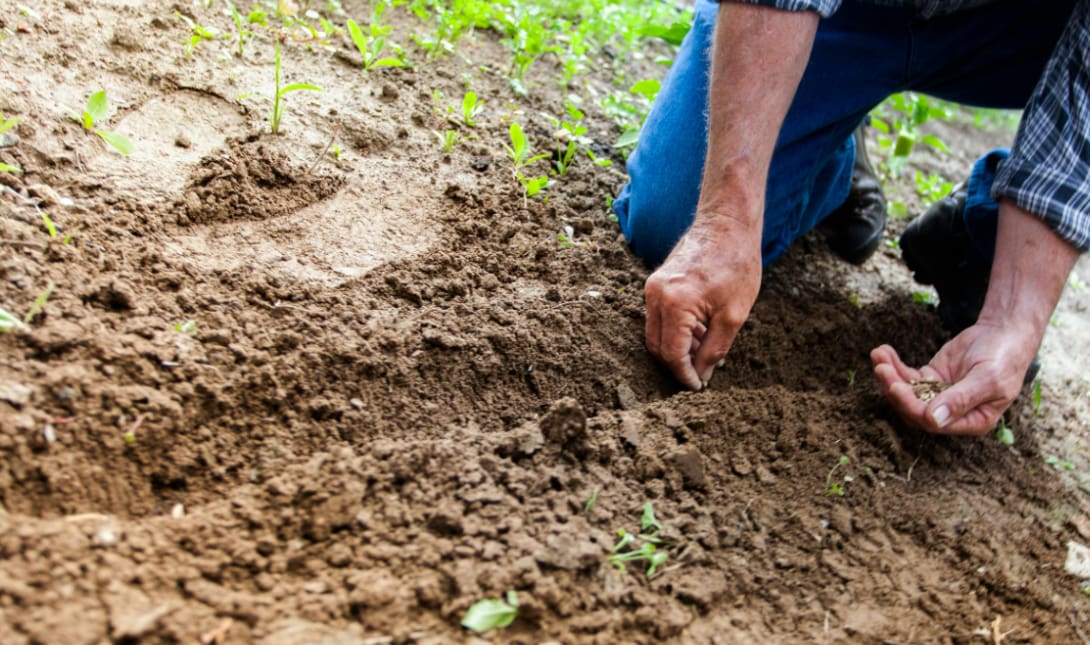 ΟΠΕΚΕΠΕ αγρότες χωράφι