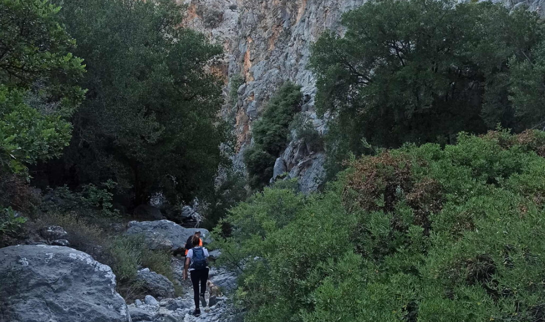 Ο Ορειβατικός σύλλογος Αγίου Νικολάου πραγματοποίησε πεζοπορία στο φαράγγι της Κριτσάς