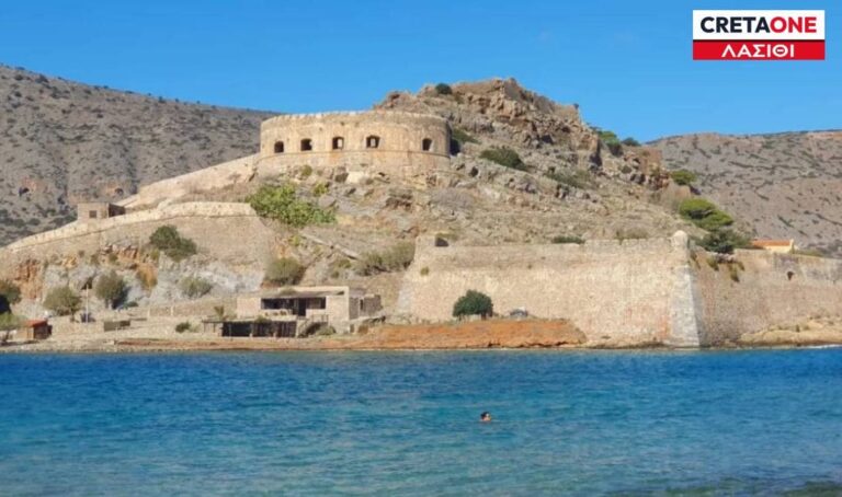 ΣΠΙΝΑΛΟΓΚΑ ΕΤΙΚΕΤΑ ΛΑΣΙΘΙ