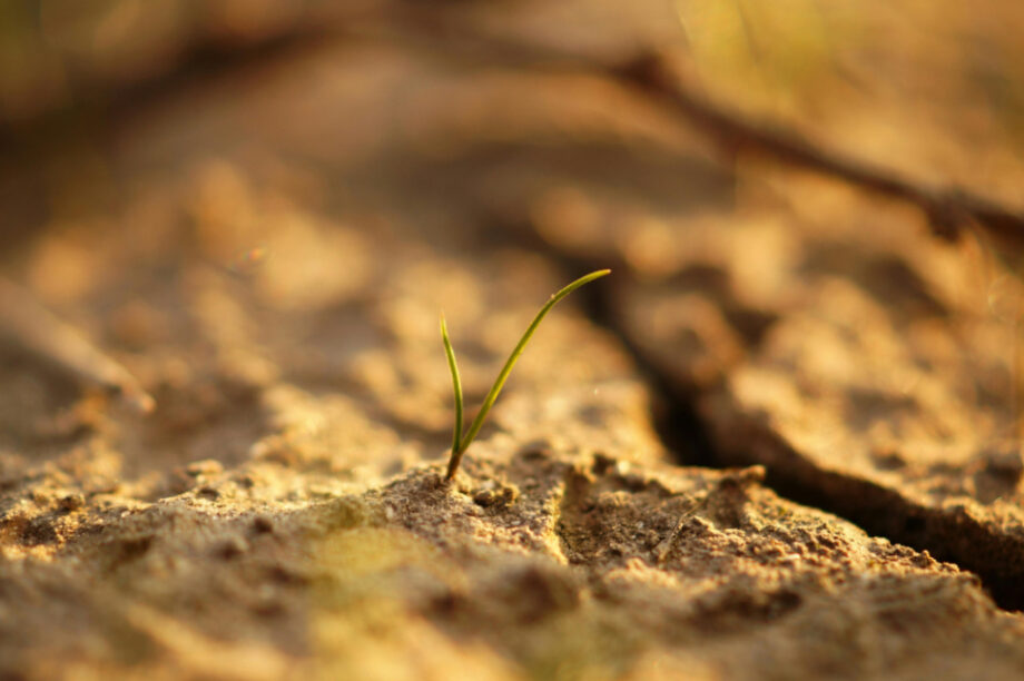 κλιματική αλλαγή